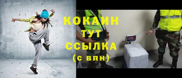 дживик Майский