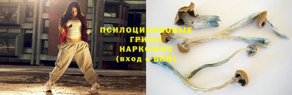 a pvp Магас