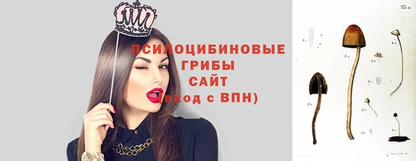 гашик Медногорск