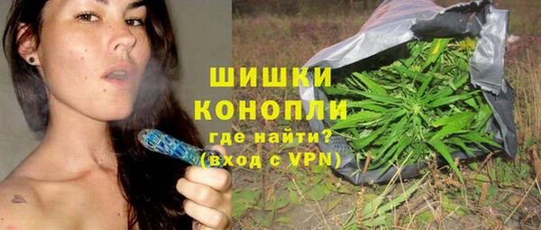 дживик Майский
