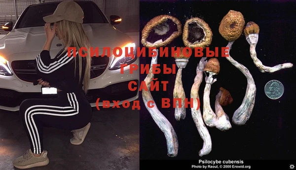 ешки Медвежьегорск