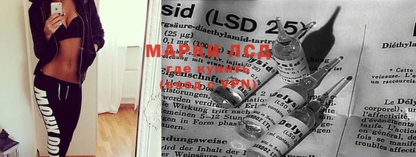 a pvp Магас