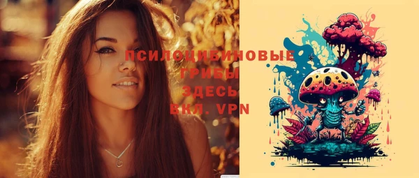 ешки Медвежьегорск