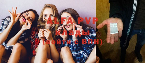 a pvp Магас