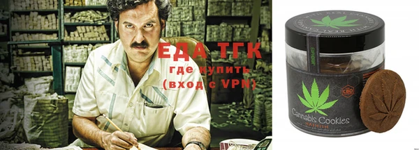 гашик Медногорск