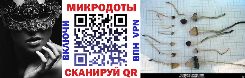 Псилоцибиновые грибы MAGIC MUSHROOMS  наркошоп  Калуга 