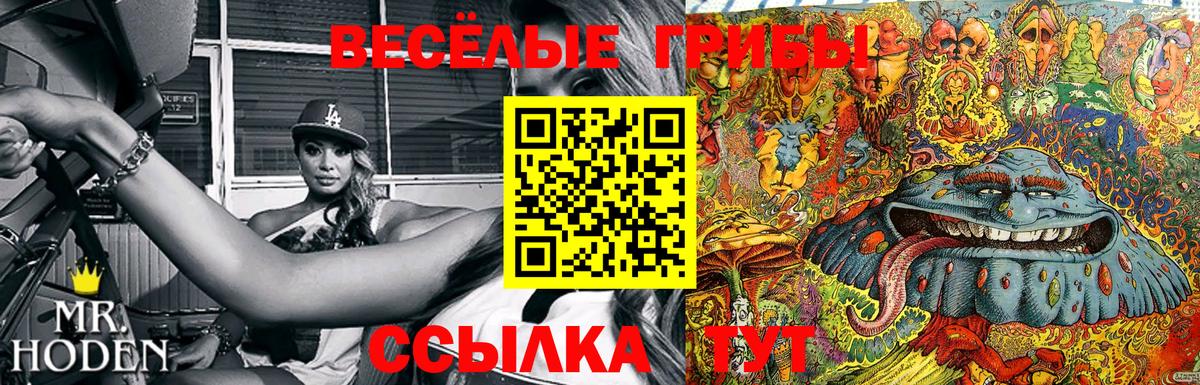 Галлюциногенные грибы прущие грибы  Галлюциногенные грибы Psilocybe  Калуга  Вход с VPN 