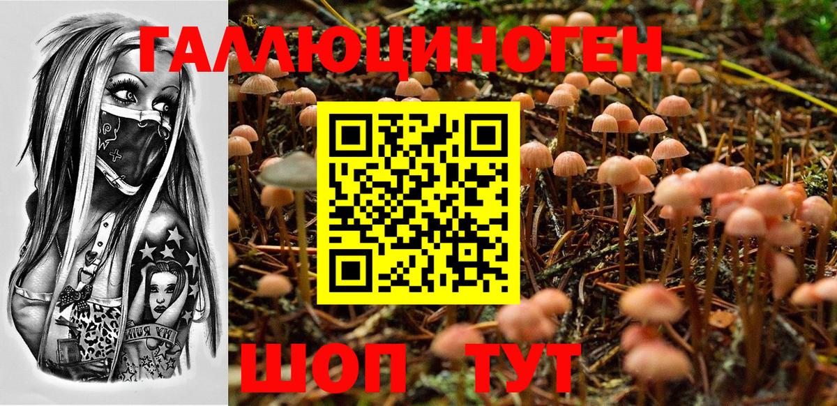 Галлюциногенные грибы Magic Shrooms Калуга